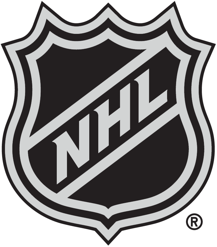 National Hockey League 2005-Pres Alternate Logo t shirts iron on transfers